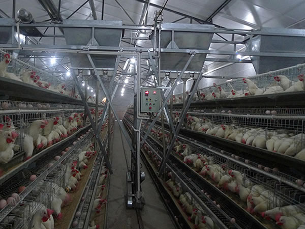 电容式接近91香蕉视频APP导航 养殖业